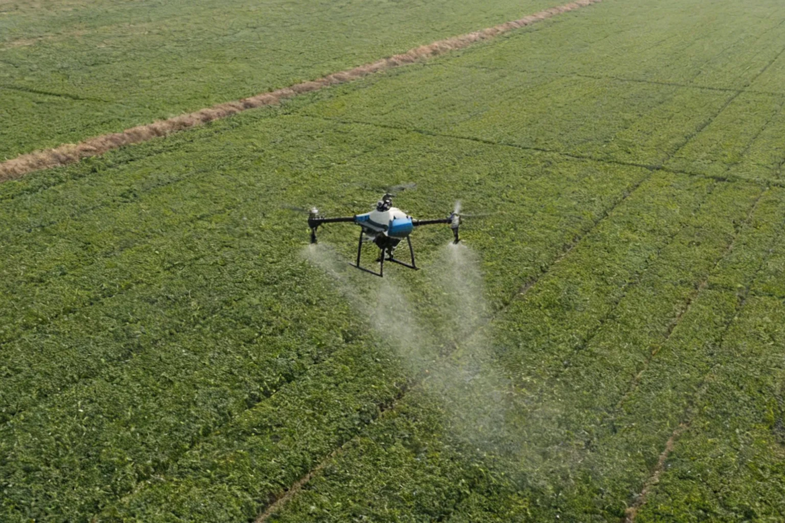 Photography & Cinematography